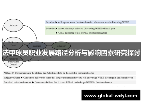 法甲球员职业发展路径分析与影响因素研究探讨