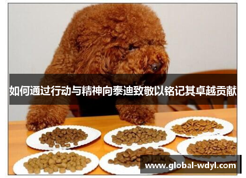 如何通过行动与精神向泰迪致敬以铭记其卓越贡献