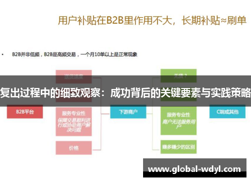 复出过程中的细致观察：成功背后的关键要素与实践策略