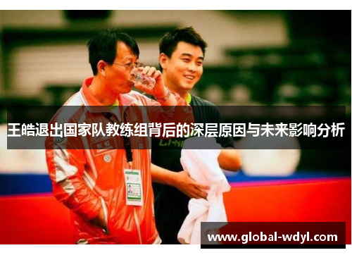 王皓退出国家队教练组背后的深层原因与未来影响分析