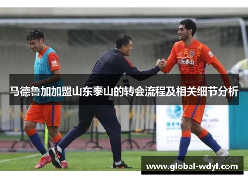 马德鲁加加盟山东泰山的转会流程及相关细节分析
