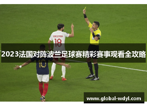 2023法国对阵波兰足球赛精彩赛事观看全攻略 2023法国对阵波兰足球赛精彩赛事观看全攻略