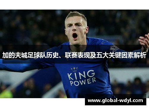 加的夫城足球队历史、联赛表现及五大关键因素解析