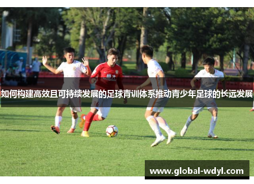 如何构建高效且可持续发展的足球青训体系推动青少年足球的长远发展