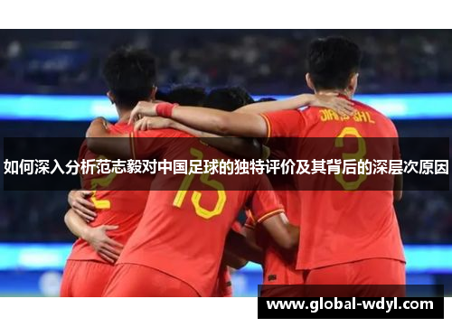 如何深入分析范志毅对中国足球的独特评价及其背后的深层次原因