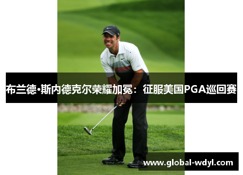 布兰德·斯内德克尔荣耀加冕：征服美国PGA巡回赛