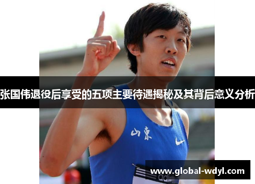 张国伟退役后享受的五项主要待遇揭秘及其背后意义分析